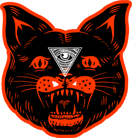 black_cat_orange_eye_smaller