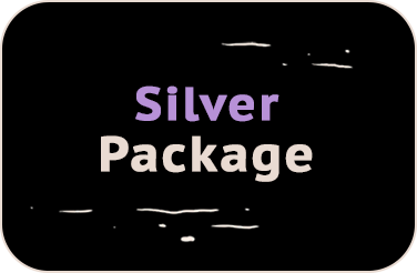 box_silver_sponsor